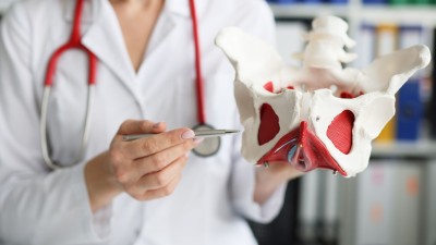 Keglove vaje za povečanje volumna ejakulata