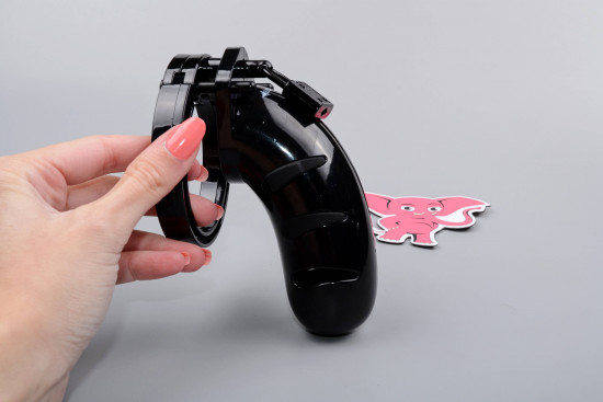 Iskra poslušnosti električni pas čistosti s krmilnikom