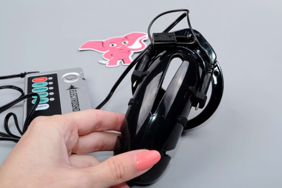 Iskra poslušnosti električni pas čistosti s krmilnikom