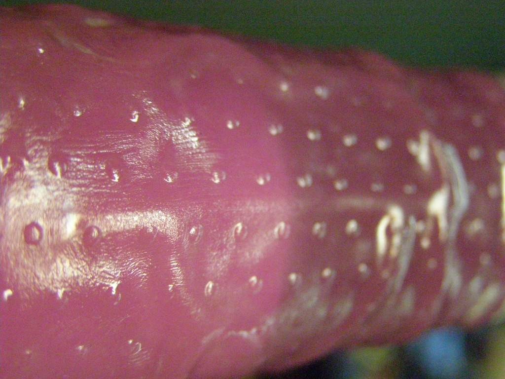 Pepino Pleasure 3pcs - kondomi s pikami