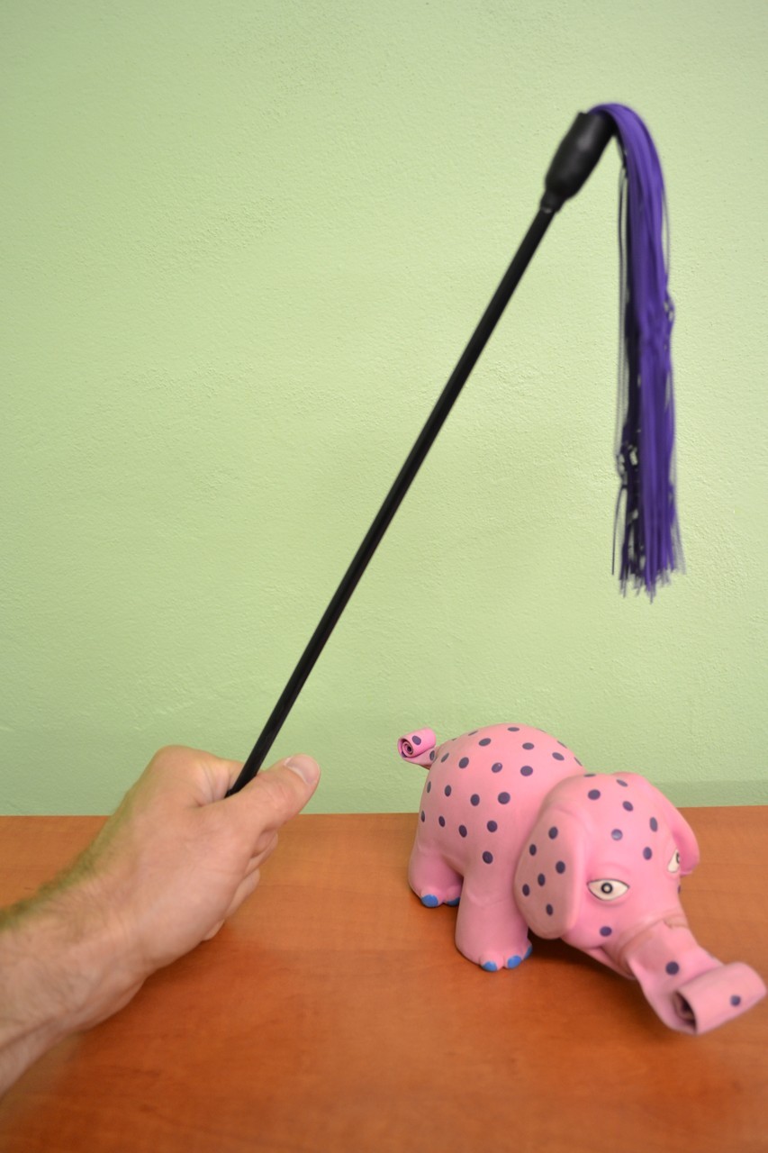 Ustoličenje vijolična mini