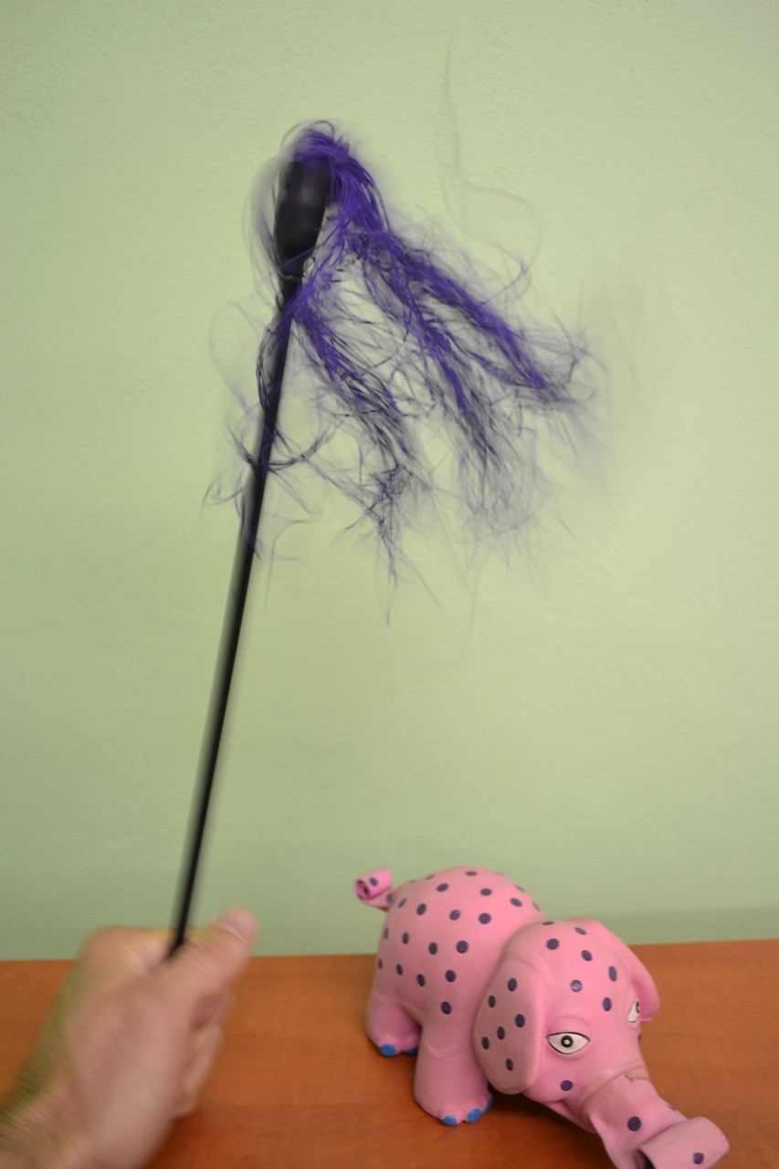 Ustoličenje vijolična mini