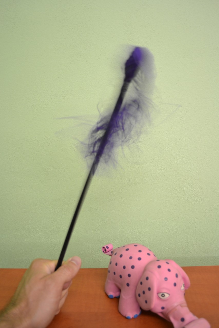 Ustoličenje vijolična mini