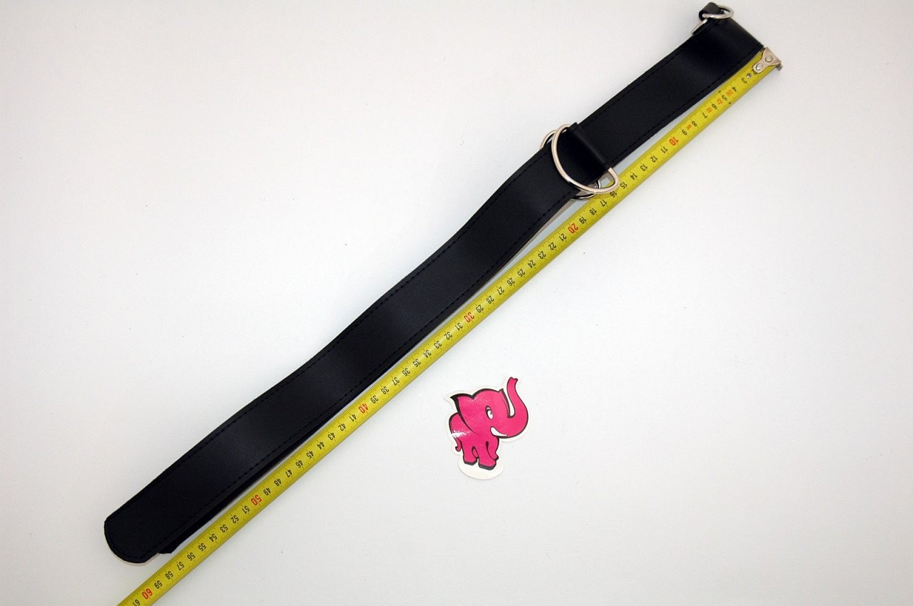 Postroj kralja Petelinov, meritve