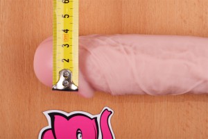 Dildo s priseskom in testisi Maxim (24 cm) - merimo