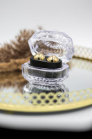 Kovinske kroglice Zlate kroglice (2*24 g)